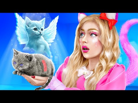 Hello Kitty спасла бездомного котёнка! Лайфхаки для владельцев животных! Из ботанши в Hello Kitty!