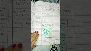 Lesson plan #Physical Science # B.ed Helper# Class 7 science