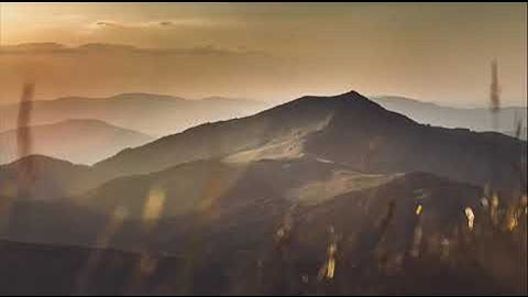 ما أجملها تلاوة ترق لها القلوب _ رزكار الكردي