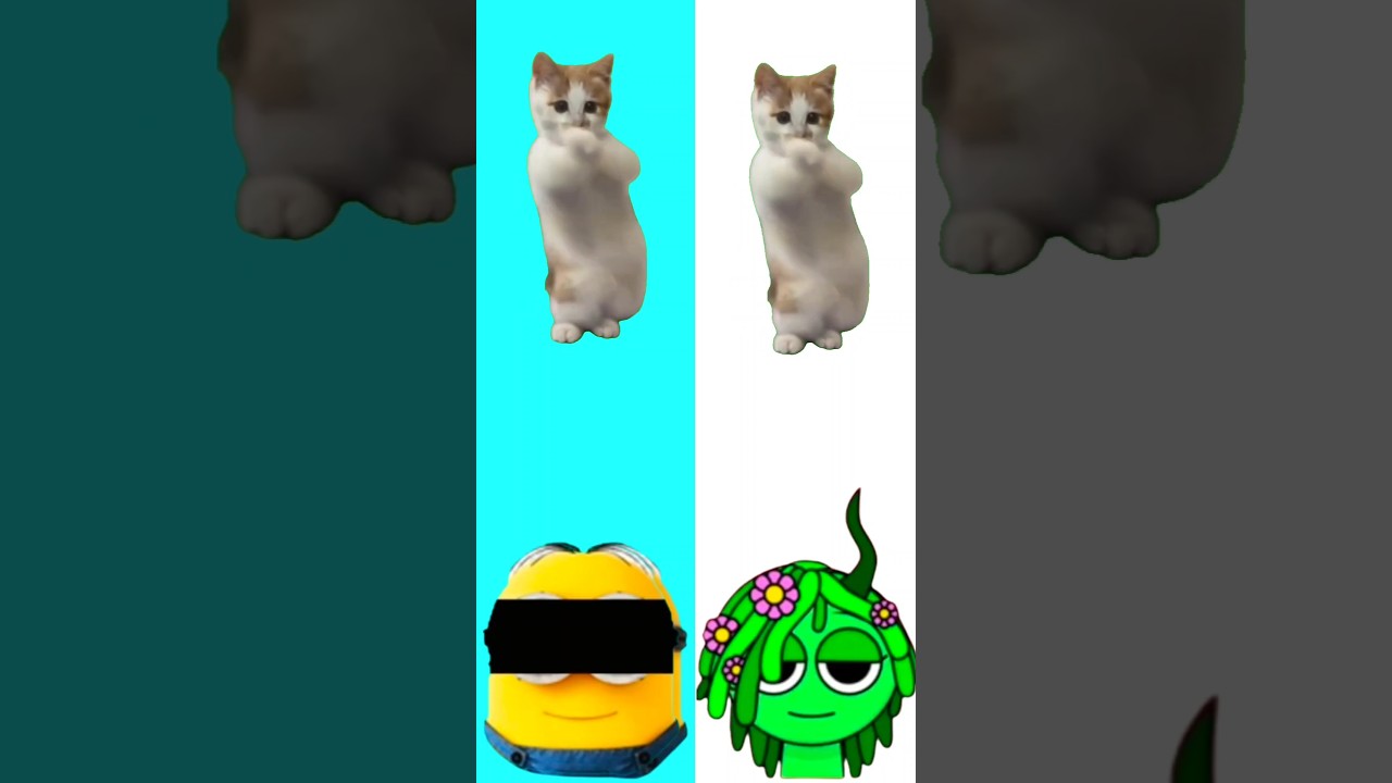 Wrong eyes challenge DAME TU COSITA Funny Puzzle Wrong Heads