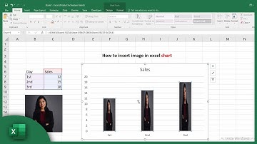 How to insert image in excel chart