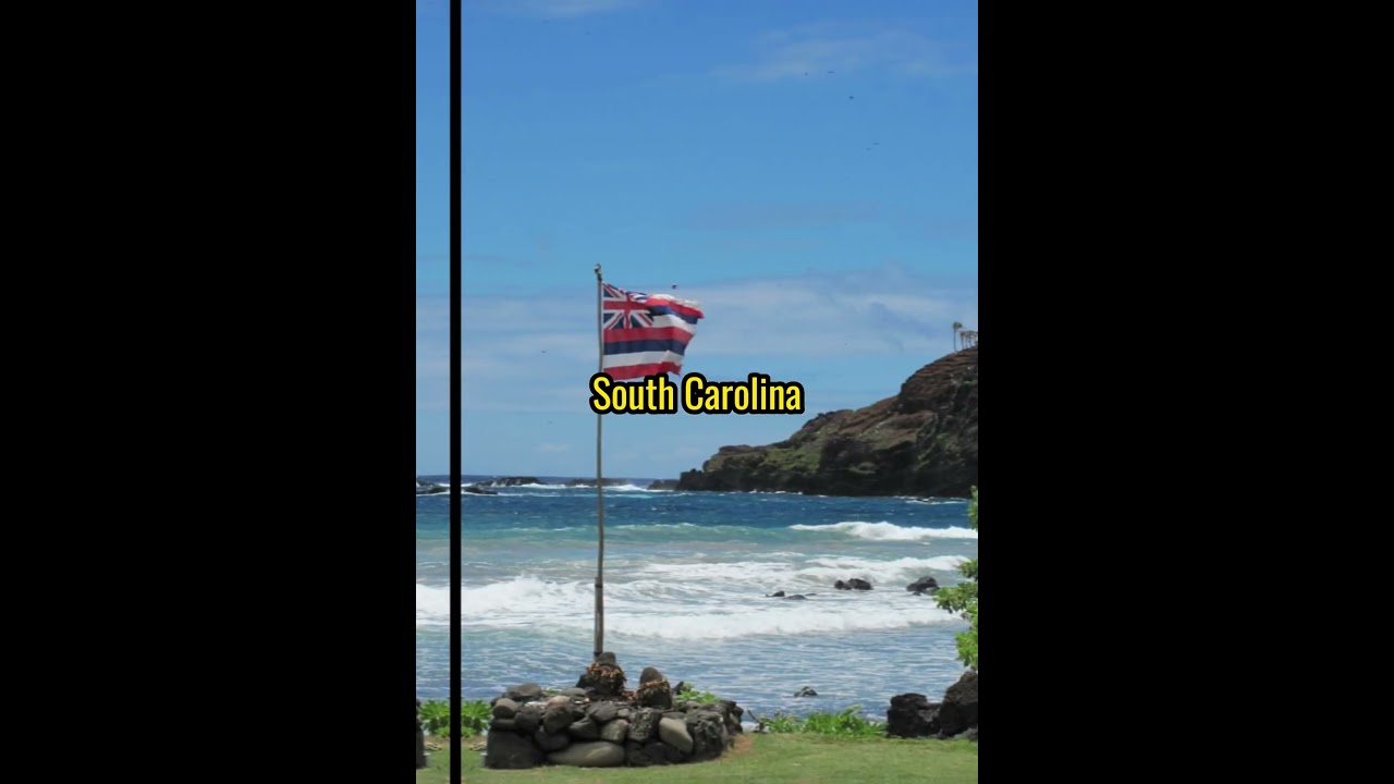 Top 10 Most Unique State Flags in the USA 