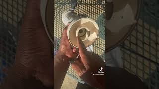 How to diagnose and install a Pentair 320 inline chlorine feeder check valve