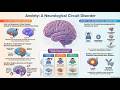 S02E05 | The Neurology of Anxiety: Neural Circuits and Therapeutic Interventions