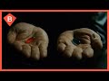 The blue pill or the red pill  the matrix