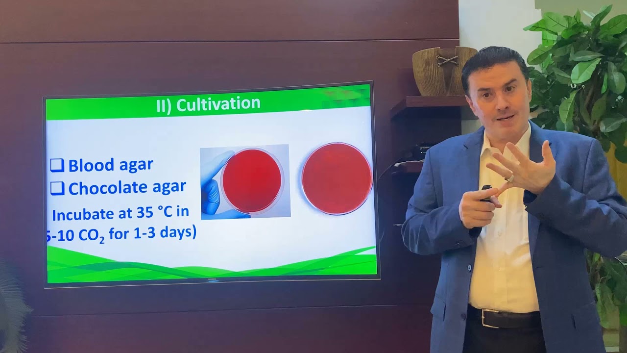 11 (4-6) N. meningitides (Lab. diagnosis)