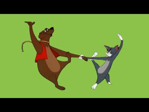 Tom and Jerry Green Screen, Funny Tom dance