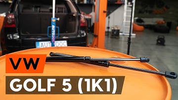 Hoe een gasveer achterklep vervangen op een VW GOLF 5 (1K1) [AUTODOC-TUTORIAL]