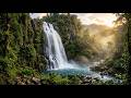 Soothing Water Sounds in Nature 🌿 Forest River Flow + Birds Ambience
