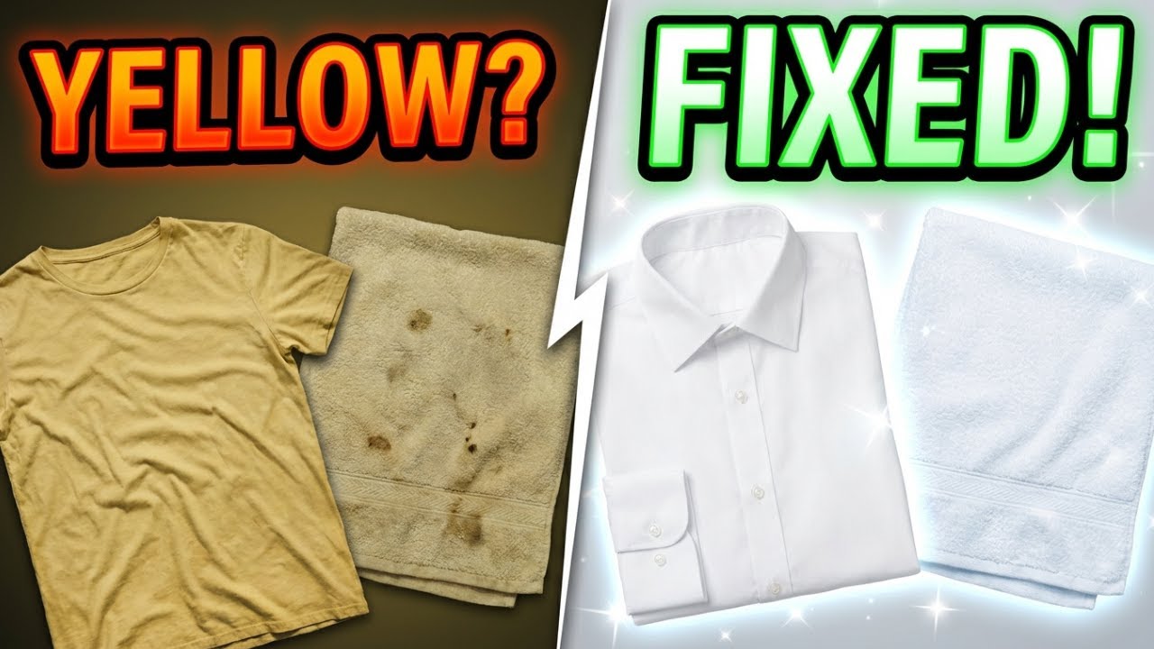how to keep white dress shirts from yellowing How to Keep Your White Dress Shirts White, Not Yellow SUITYOURSELF