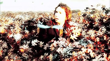 multifandom Static X - The Only