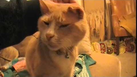 FLASH WARNING flash strobe warning [EPILEPSY WARNING] artsy mon 2 *Photosensitivity Warning*