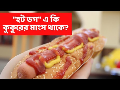 ভিডিও: হট ডগের উৎপত্তি কোথায়?