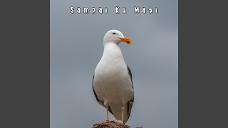 Download Lagu Kupendam Rasa MP3 Download Lagu Kupendam Rasa MP3
