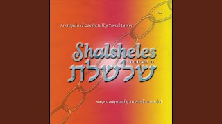 Video thumbnail of "Shalsheles - Mi Bon"