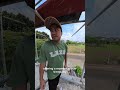 Casa Rosa Villa Progress: The 3.5M High Glass Walls are Coming! | Bali Inspired Home Build Update