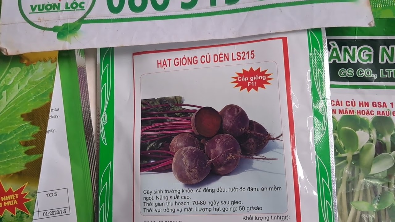 Bán hạt giống củ dền đỏ 