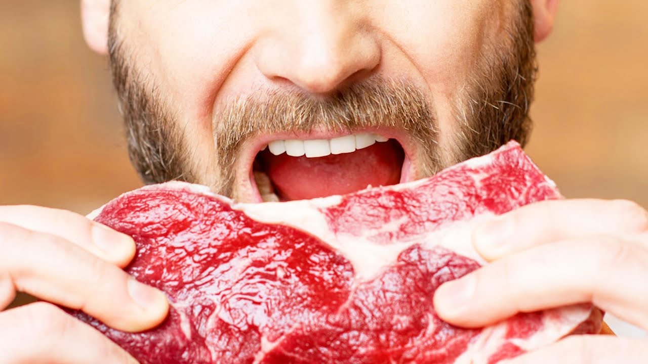 WHY I QUIT CARNIVORE DIET & WENT VEGAN - YouTube