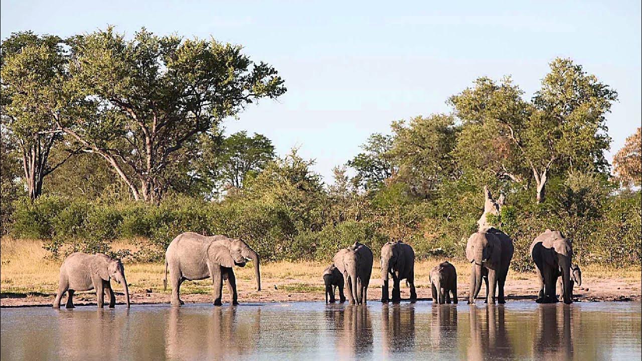 Meaning Spirit Science Mailbag YouTube