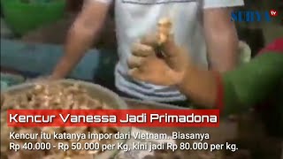 Kencur Vanessa Seharga Rp 80.000 - Biasanya Cuma Rp 40.000, Naik Gara-gara Coron