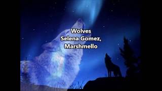 Wolves By Selena Gomez