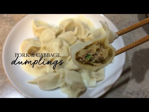 Juicy Pork & Cabbage Dumplings (猪肉白菜饺子)