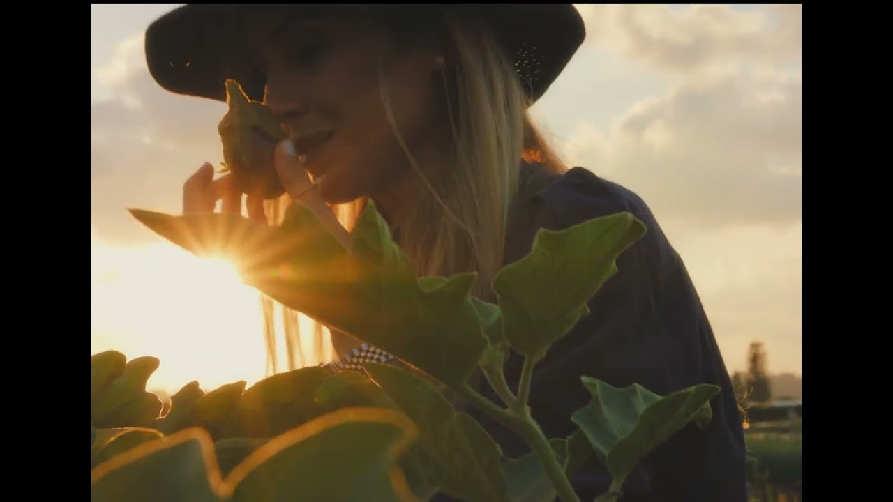 A Manifesto of Green Design | Nini Andrade Silva