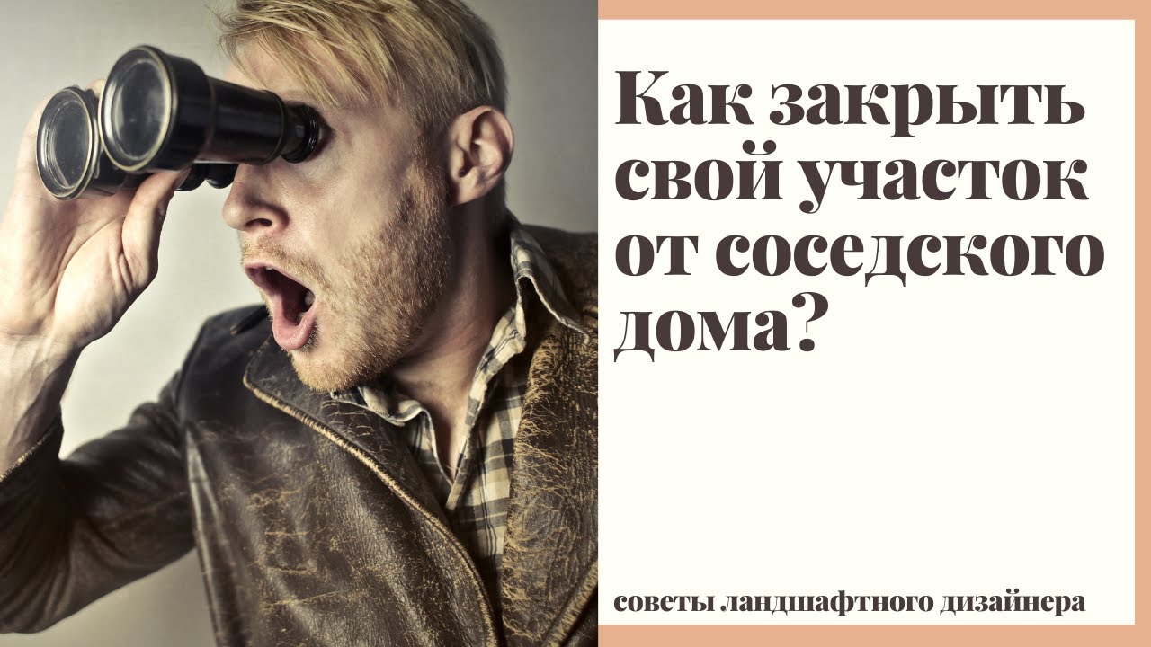 что посадить перед окнами соседей