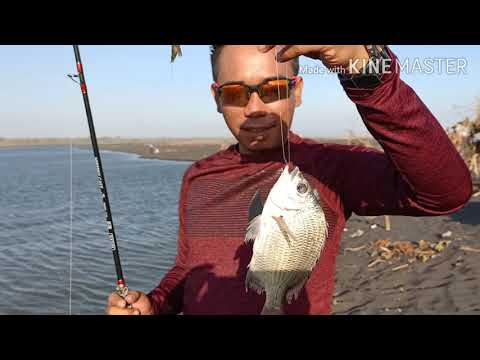 Mancing di sekitaran pantai Paseban jember