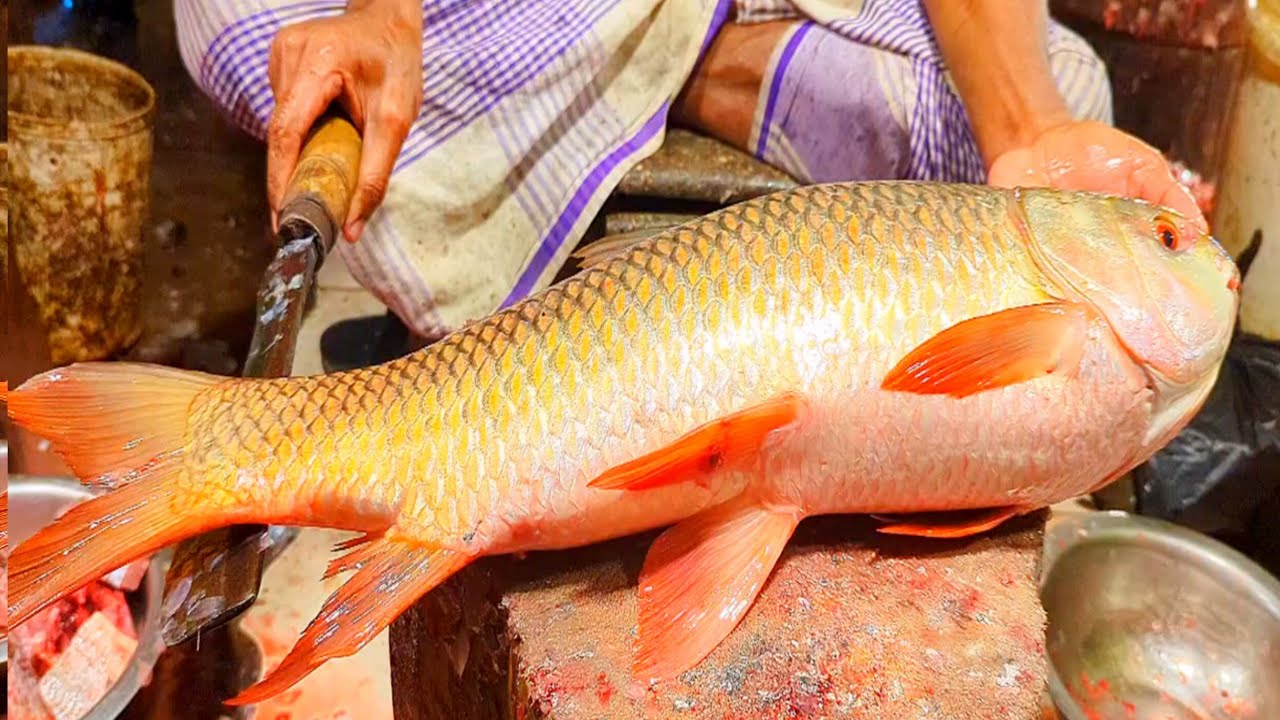 Kummal Fish Kamrul Fish Cutter is live! - YouTube