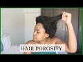 HAIR POROSITY, TIPS & TEST