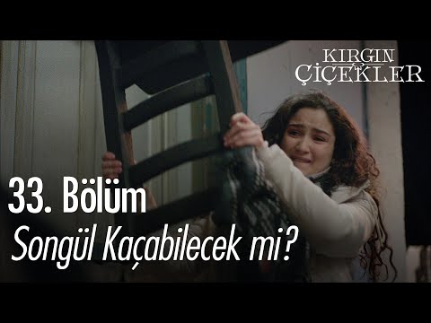 Songül kaçabilecek mi? - Kırgın Çiçekler 33. Bölüm