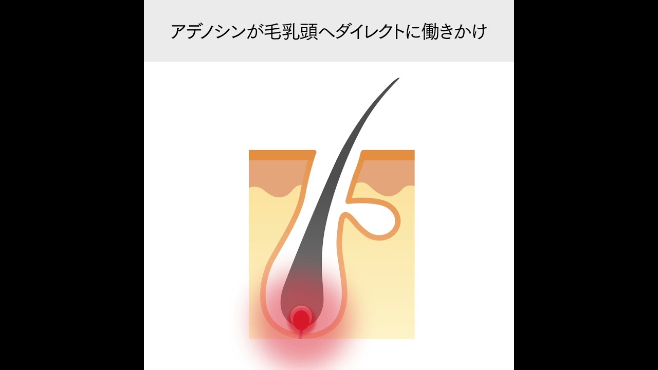 SHISEIDO THE GROOMING スカルプエフェクター Amazon.co.jp: THE GROOMING (ザ グルーミング) スカルプ