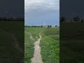 Perfect evening walk || Canada