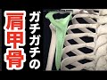 ガチガチの肩甲骨を一撃でユルユルにして、二度と再発させない方法