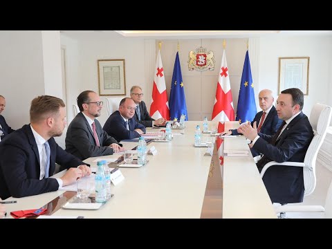 ირაკლი ღარიბაშვილი ავსტრიისა და ლიეტუვას საგარეო საქმეთა მინისტრებს შეხვდა