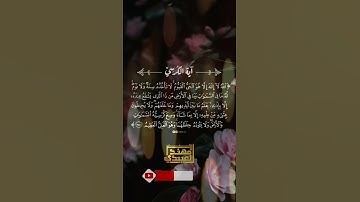 استمع بقلبك لعظمة وقدرة الله تعالى || القارئ مهند العبيدي