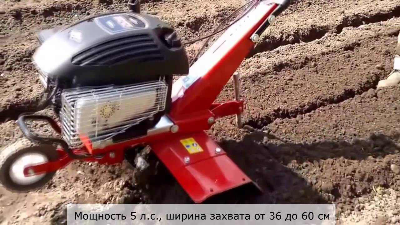 Купить Мотоблок В Курганинске Краснодарского Края