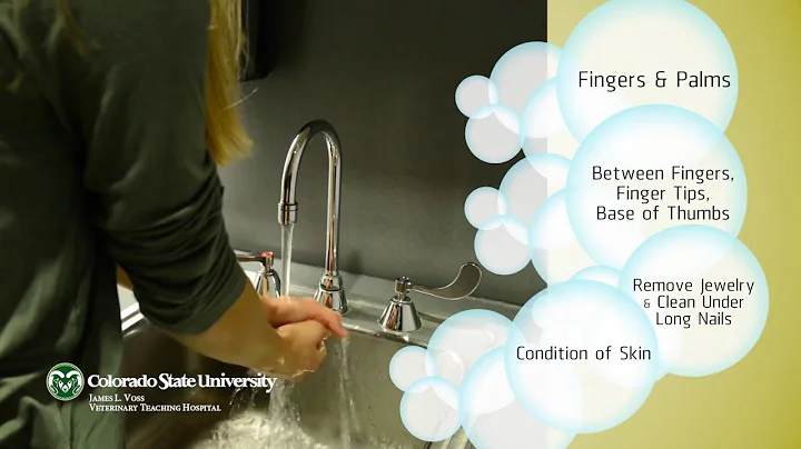 Clean Hands Save Lives: Protect Your Patients, Protect Yourself