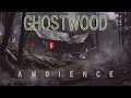 G h o s t w o o d  004  cabin ambience  ambient mystery music