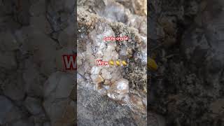 Have You Seen Calcite Crystals In Limestone