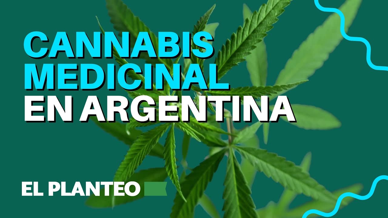 El CANNABIS MEDICINAL es LEGAL en Argentina - Lo que tenés que saber
