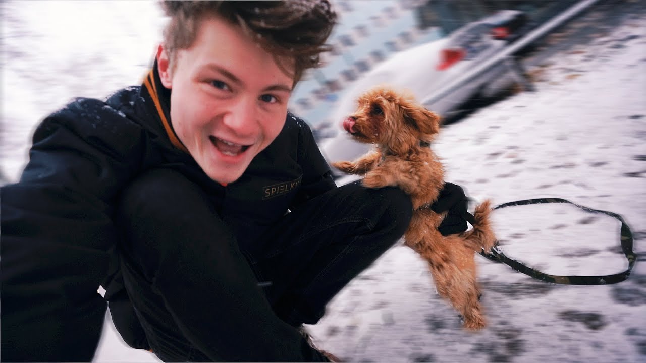 Alfies erster Schnee!