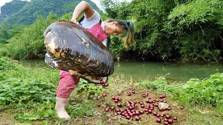 The girl broke open the centenary clam and it spat out pearl treasures all over the ground