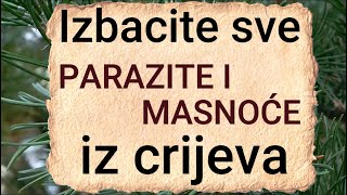 Izbacite sve PARAZITE I MASNOĆE IZ CRIJEVA - Detoks "čišćenje" tijela od parazita  - RECEPT