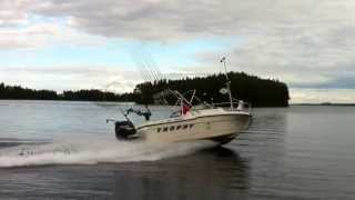 Bayliner Trophy 2002 FF by SAS
