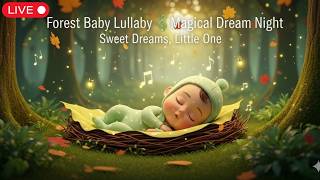 Forest Baby Lullaby 🌿 Magical Dream Night | Soft Music Box Sleep Music for Babies & Newborns screenshot 5