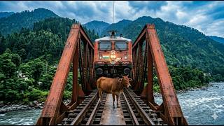 Perfect CROSSING Trains 19 | Freight Train CROSSING Super Fast & Express Trains | Indian Railways