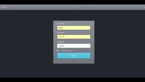 Burp UI LDAP  vs Non-LDAP Problem / Solution