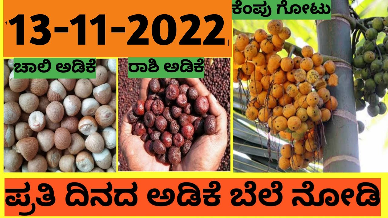 Arecanut Price Today Chali Rate Today Today Saraku Rate arecanut-price-today-chali-rate-today-today-saraku-rate